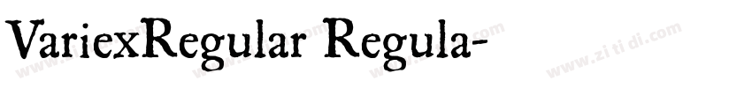 VariexRegular Regula字体转换